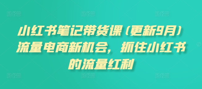 小红书笔记带货课(更新10月)流量电商新机会，抓住小红书的流量红利-富业大课堂