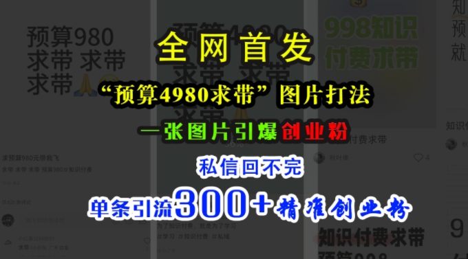 小红书“预算4980带我飞”图片打法，一张图片引爆创业粉，私信回不完，单条引流300+精准创业粉-富业大课堂