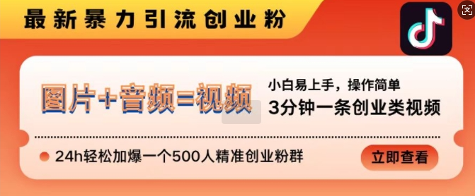 抖音最新暴力引流创业粉，3分钟一条创业类视频，24H轻松加爆一个500人精准创业粉群【揭秘】-富业大课堂